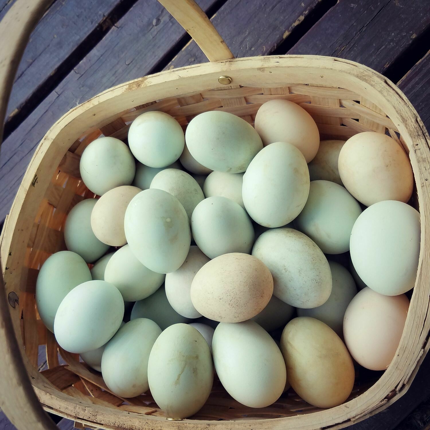 Duck Eggs