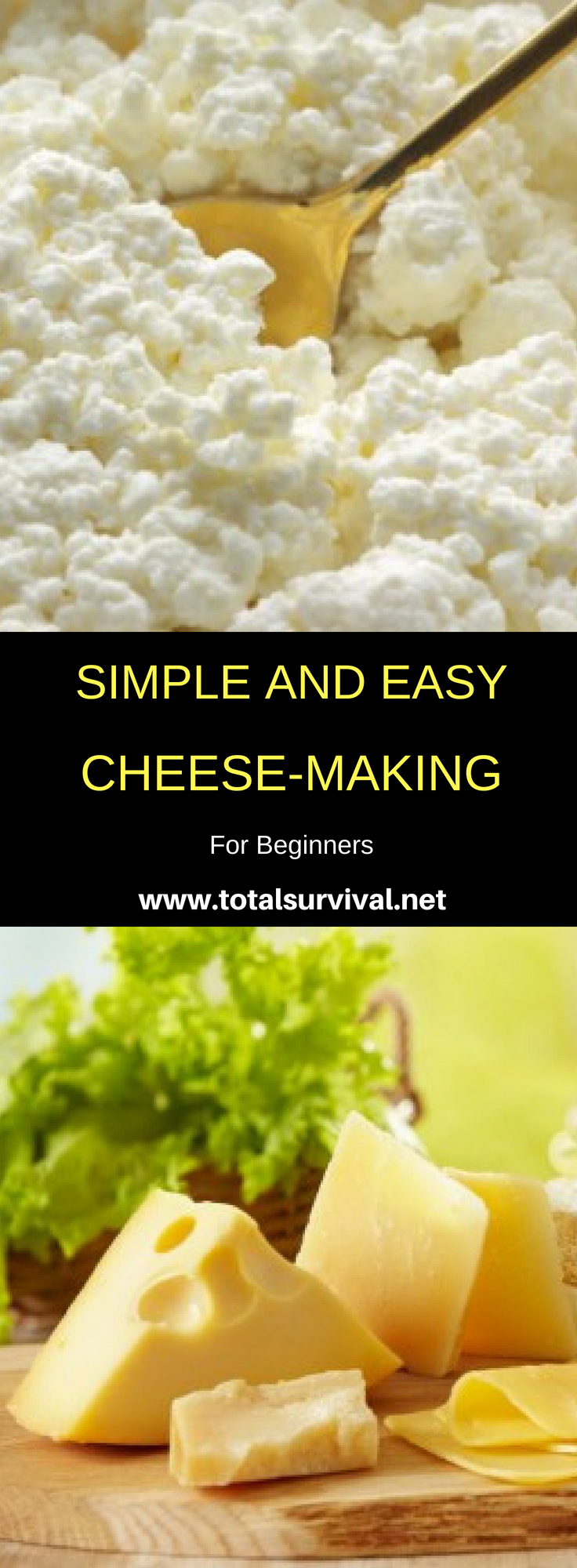 Simple And Easy Cheese-Making For Beginners - Total Survival | How to