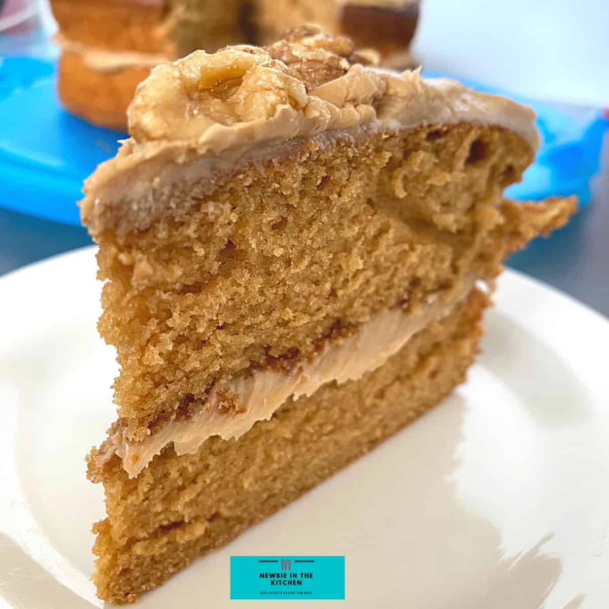 Easy Coffee Walnut Cake | Newbie In The Kitchen